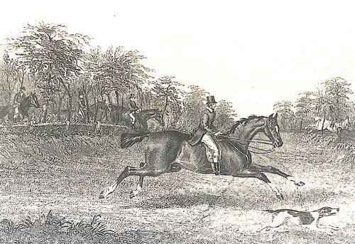 Stud 1848 1sted hippology - 1848, hb