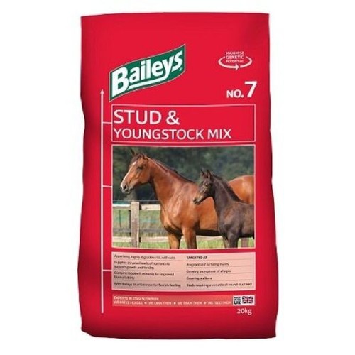 Baileys stud youngstock - &,