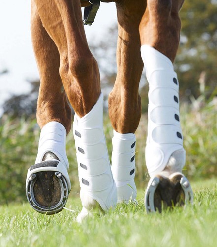 Premier equine large - premier,