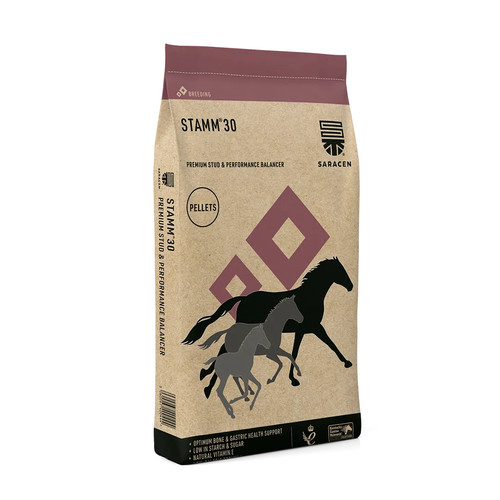 Saracen stamm stud - saracen, &