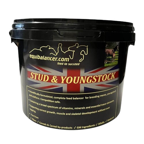 Horse pony balancer feed - horse,