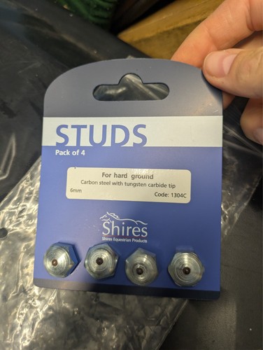 Hard ground horse - horse, studs