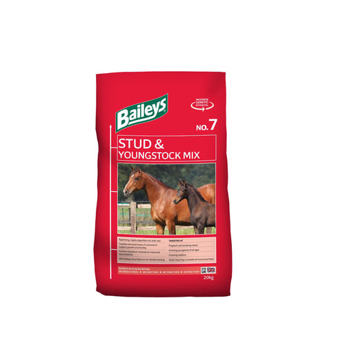Baileys stud youngstock - stud,