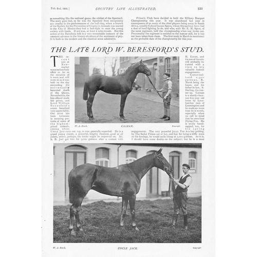 Lord beresford race - lord,