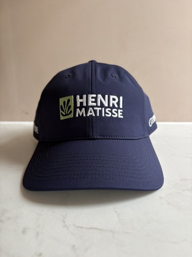 Horse racing henri matisse - horse,